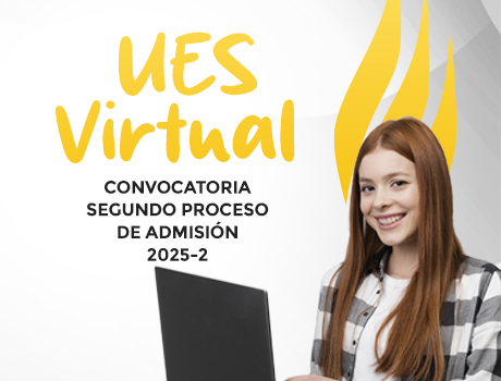 Licenciatura Virtual