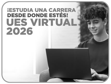 Licenciatura Virtual