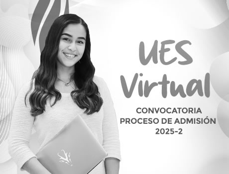 Licenciatura Virtual